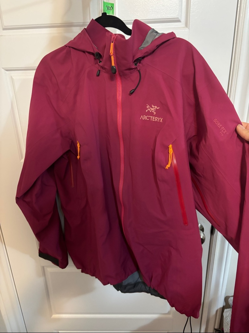 Arc'teryx Women's Deep Pink Hooded Gore-Tex Ski Jacket